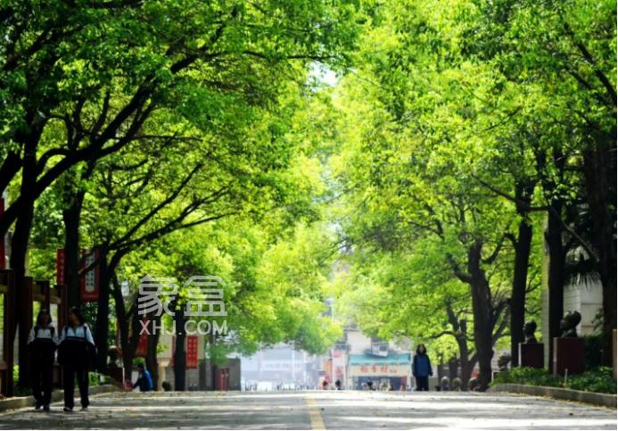 指標(biāo)生計(jì)劃不低于60%！2023年長(zhǎng)沙中考招生政策出爐！