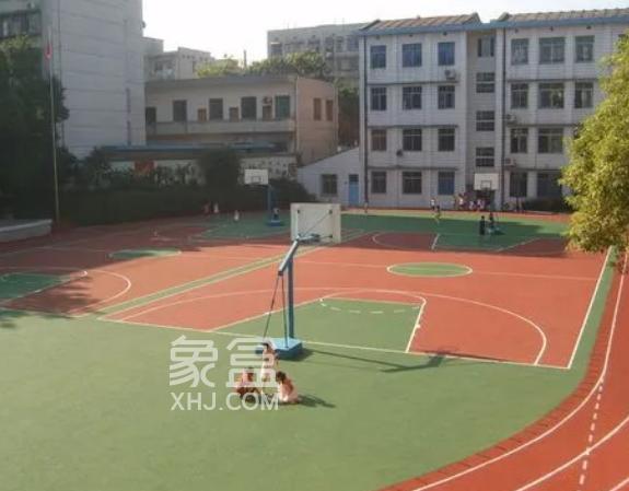 【租房季】曙光小学周边租房：市中心辐射区，舒适自然氛围好