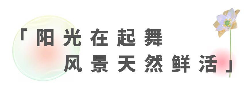 嘉新时代广场2栋建面116-162㎡央景王座加推，雅礼丁江学校建面107-149㎡热销中！