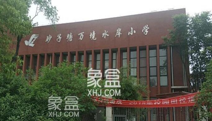 【报名季】砂子塘万境水岸小学课外活动丰富，有益孩子身心健康成长