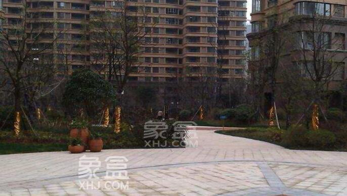 【报名季】砂子塘万境水岸小学课外活动丰富，有益孩子身心健康成长