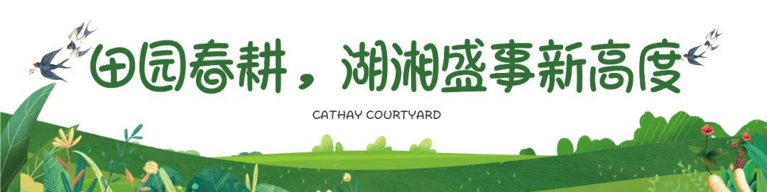 4月16日潯龍河第二屆春耕文化節(jié)落幕，雅禮實驗田漢學校建面97-378㎡現(xiàn)房+準現(xiàn)房熱銷中！