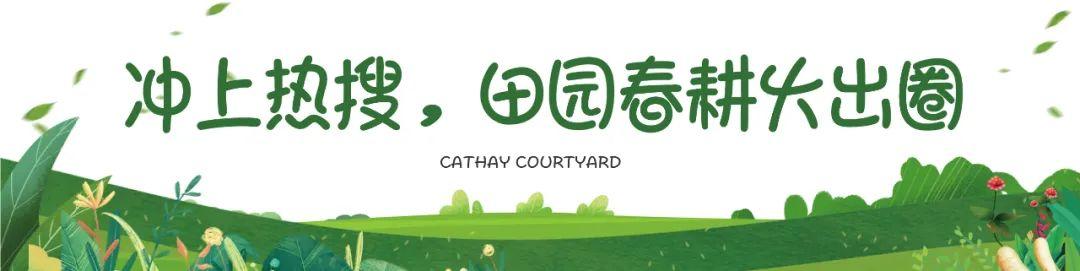 4月16日潯龍河第二屆春耕文化節(jié)落幕，雅禮實驗田漢學校建面97-378㎡現(xiàn)房+準現(xiàn)房熱銷中！