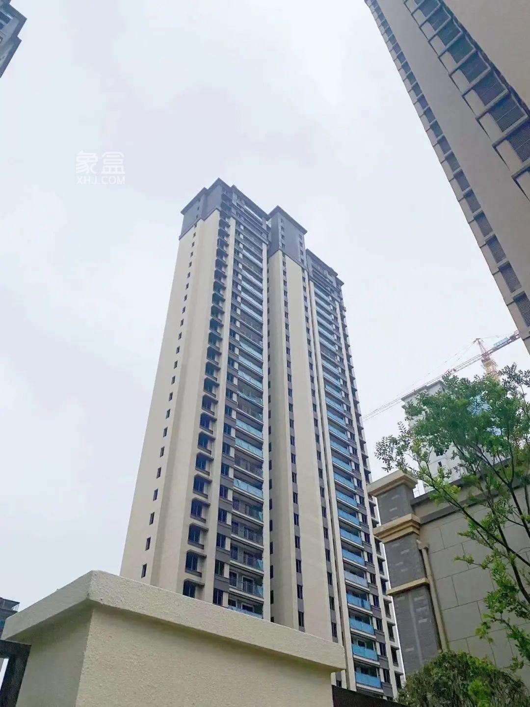 澳海望洲府4月家書，明德望城學(xué)校建面100-162㎡高層+洋房熱銷中！