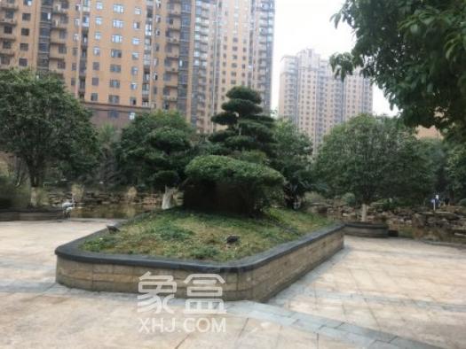 【上新季】长沙“次新小区”推荐！房龄更新，规划、环境更好！