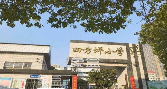 【租房季】四方坪小学五一劳动最光荣   五一劳动攻略“小劳动大成长“