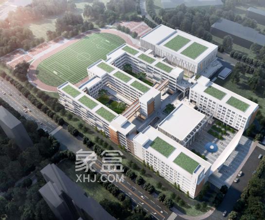 市实验+南雅品牌！观沙岭城市更新片区新建两所名校！