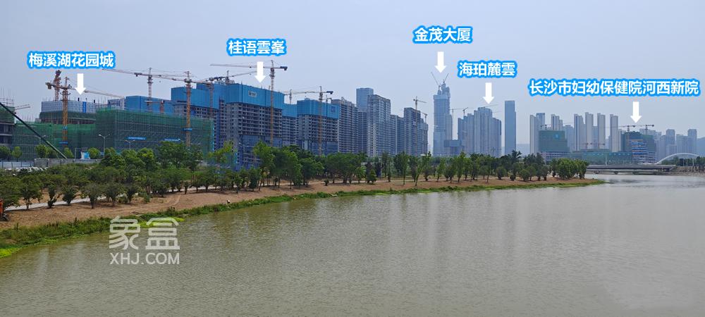 长沙市妇幼保健院（河西新院）预计年内竣工！周边有新房在售！