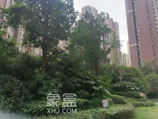 5月长沙二手房热门交易榜单出炉！这些小区格外受欢迎！