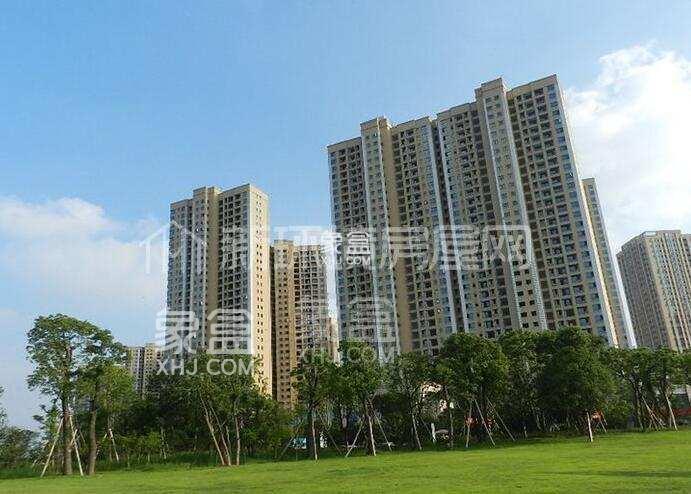 【毕业季】6月20日全新房源：邻靠洋湖正地铁口的三室，教育配套全价格佳