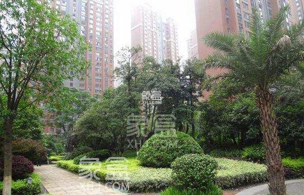 【毕业季】6月25日全新房源：梅溪湖三室教育配套实验名校，价格好地段佳