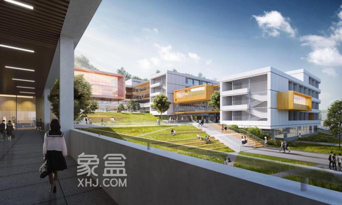 备受含浦朋友们关注的“白鹤中学”来了！效果图公布！