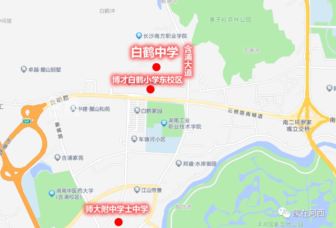 备受含浦朋友们关注的“白鹤中学”来了！效果图公布！