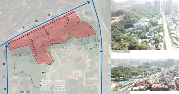 备受含浦朋友们关注的“白鹤中学”来了！效果图公布！