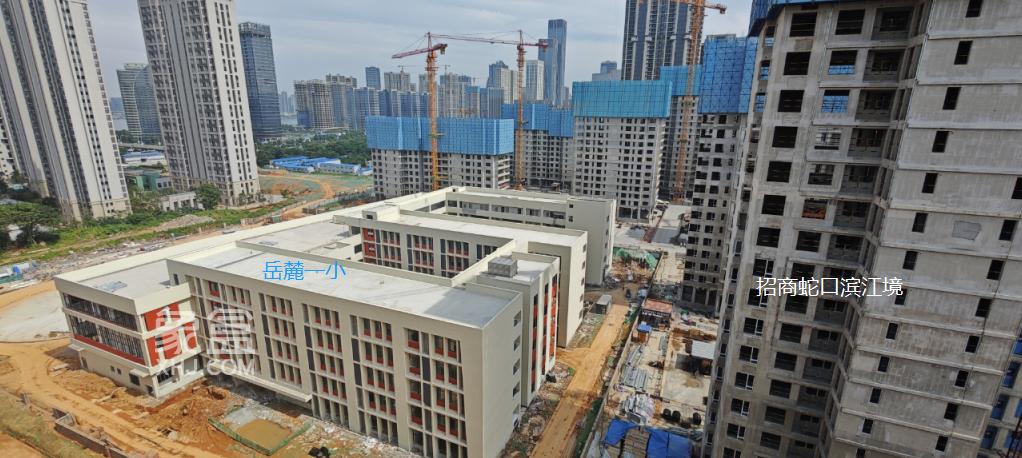 滨江“岳麓一小”建设速度飞快！紧挨“招商蛇口滨江境”！
