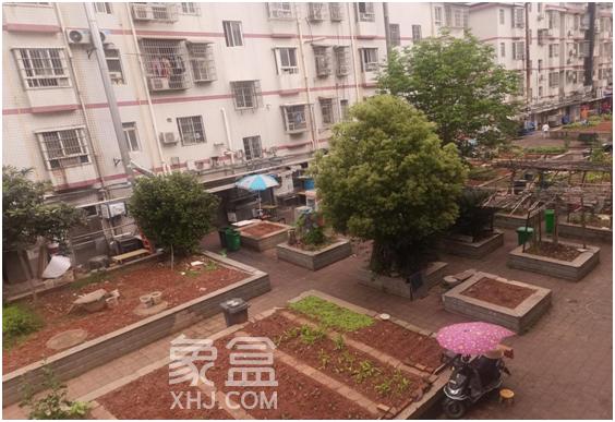 長沙裕園小區(qū)3000余平方米的“小菜園”變成便民停車場！