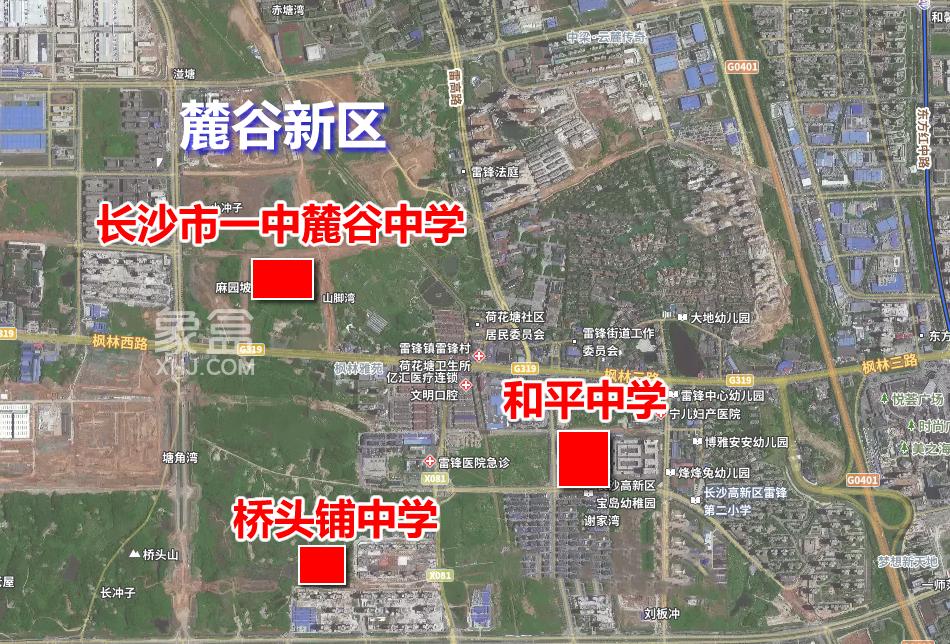 【夏日安家节】麓谷同时开建“三所初中”！片区多个在售盘享“利好”！