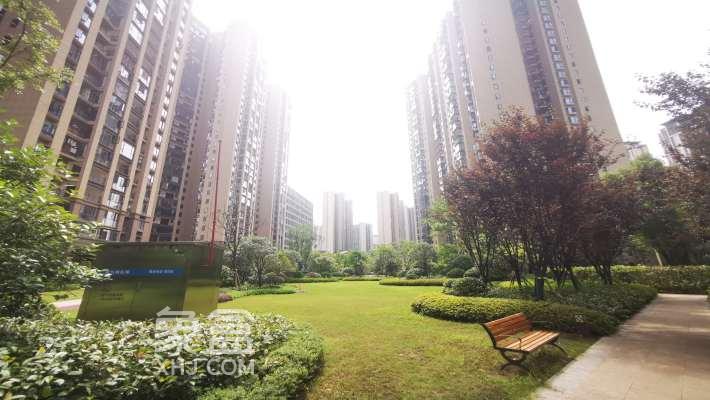 7月25日全新房源：梅西湖西站正地铁口+实验中学三室，配套齐全物业管理科学