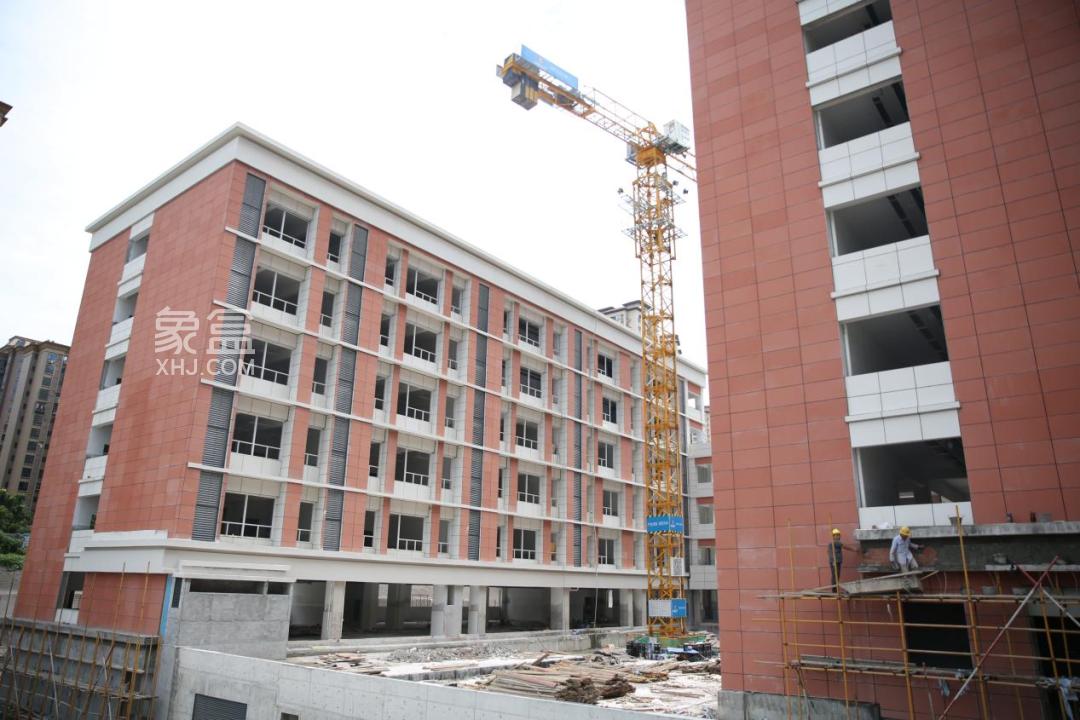 长沙莲湖小学扩建、泰禹小学南校区等2023年9月投入使用！