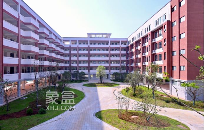 岳麓区智谷板块4所新学校开学，可提供1万余个学位！