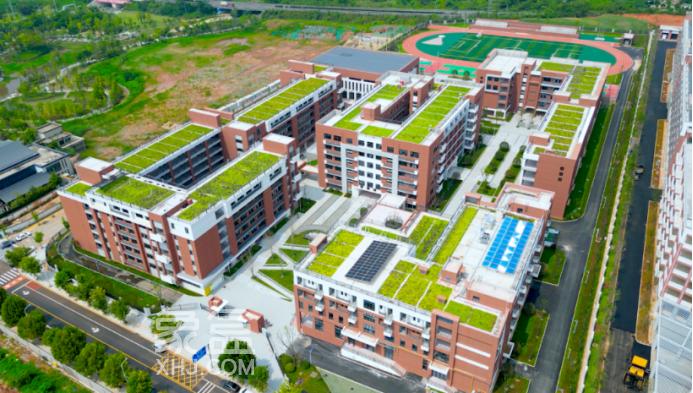 岳麓区智谷板块4所新学校开学，可提供1万余个学位！