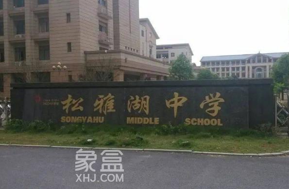 松雅湖中学周边精选租房：藏珑湖上国际花园多为豪华精装，生活舒适安全