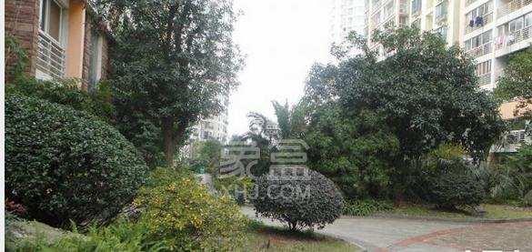 9月23日全新房源：梅溪湖精装三室名校配套，高级物业生活便捷