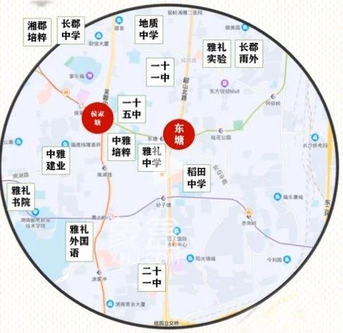 【黄金置业季】“东塘”纯新盘“常春藤望京”即将首开！紧靠雅礼枫树山本部！