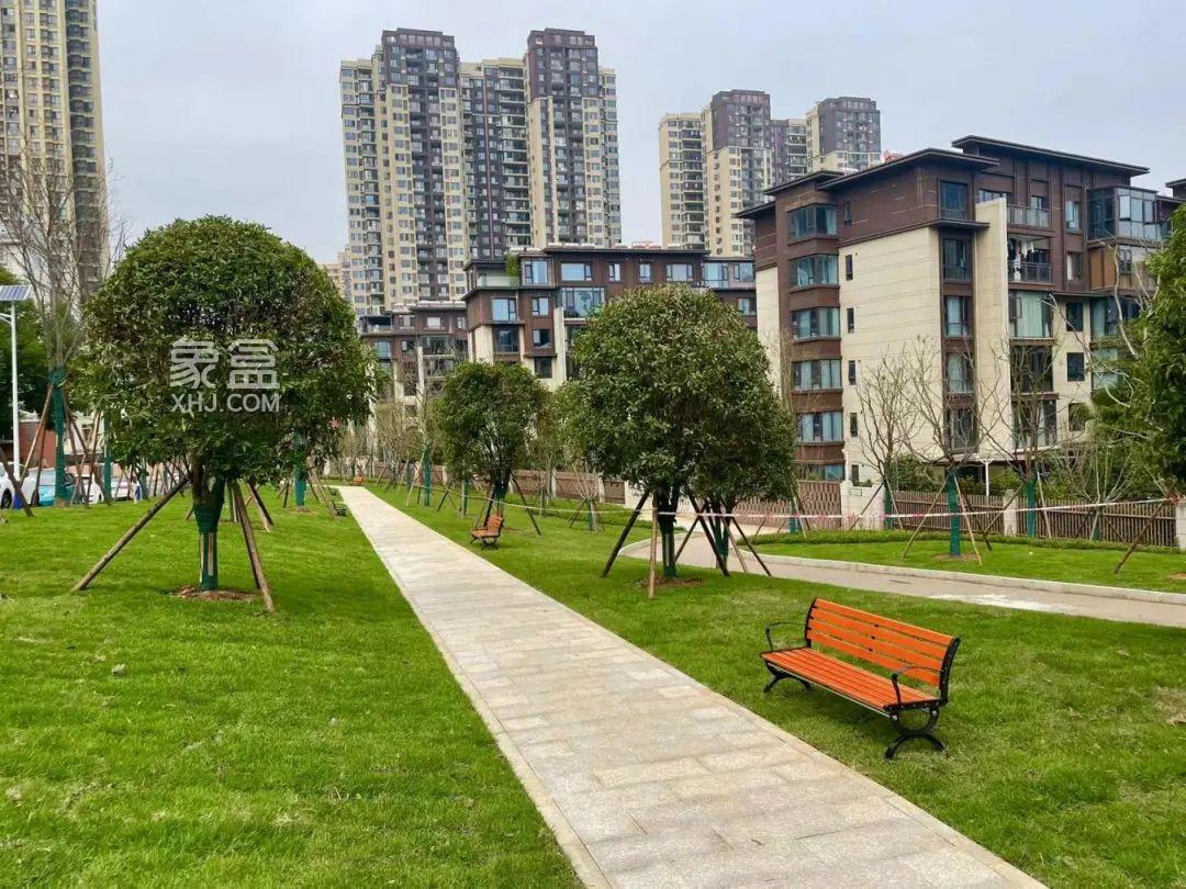 長沙雨花區(qū)新星小區(qū)、十五中宿舍等小區(qū)“微改造”，實(shí)現(xiàn)“精提升”！