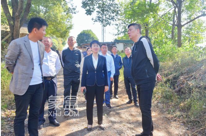 11月7日羅玉環(huán)帶隊到東風路華遠華時代等調(diào)度市容環(huán)境整治工作！