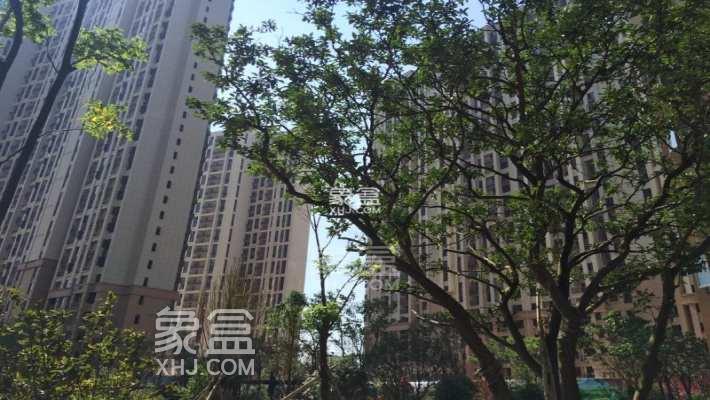 11月9日長沙二手房最新房源：廣電中心豪華古典精裝三室，鄰月湖環(huán)境佳