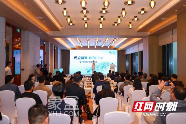 11月10日梅溪湖产城发展沙龙如期举行，勇立潮头，赋能未来！