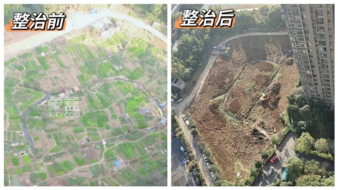 长沙双湾国际6600平米违规菜地被铲除，化解居民“烦心事”！