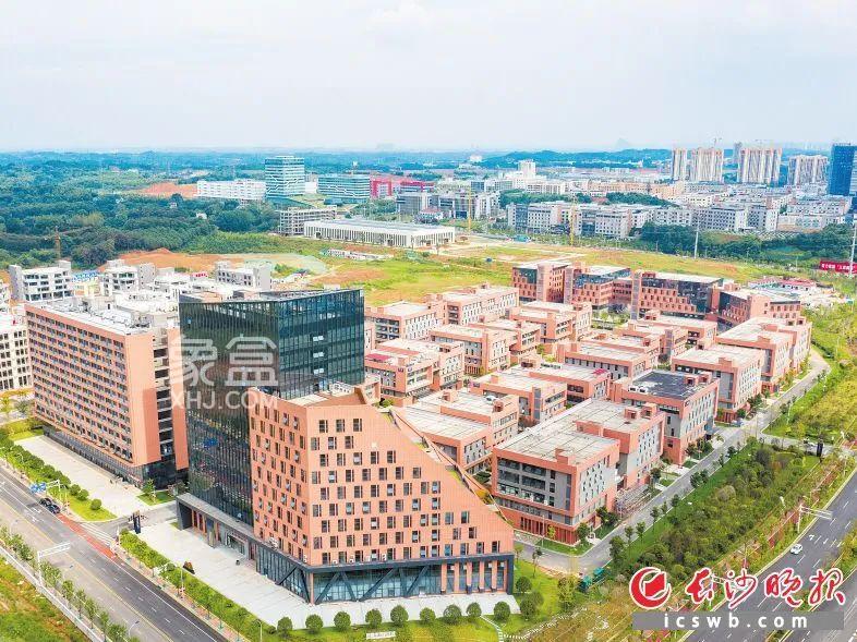长沙开福区金霞新城：流金淌银绽放霞光！
