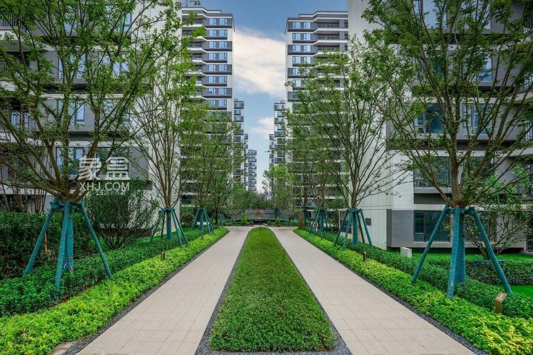 长沙旭辉雨花郡、旭辉雨金广场、旭辉铂宸府等，与15786个家庭共赴美好确幸！