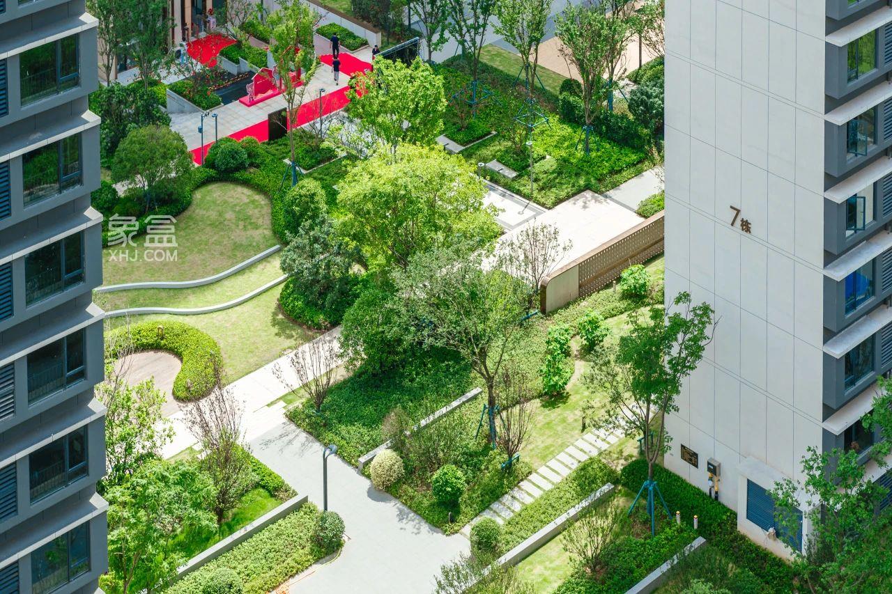 长沙旭辉雨花郡、旭辉雨金广场、旭辉铂宸府等，与15786个家庭共赴美好确幸！