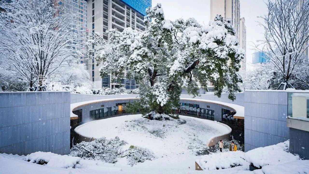 来万科长沙,观赏2024年长沙的第一场雪吧! 来万科长沙,观赏2024年长沙的第一场雪吧!
