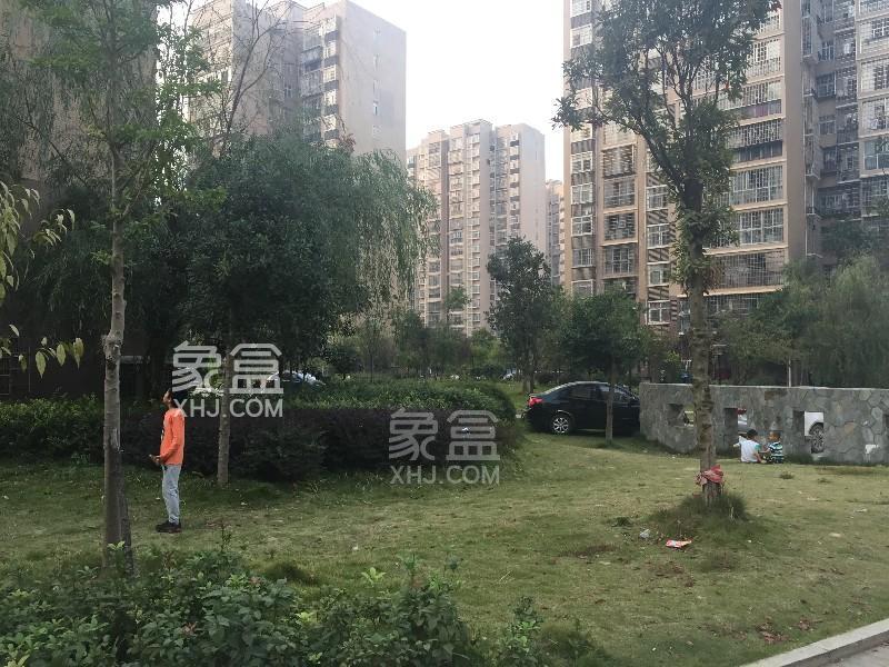 2月21日长沙租房急租：树木岭的大阳台三室，商圈环绕双线地铁好价又好居