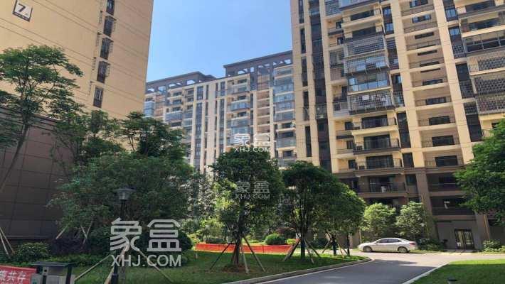 2月22日長沙租房急租：麓谷中心小戶型，配備高級(jí)物業(yè)，通勤便利生活有保障