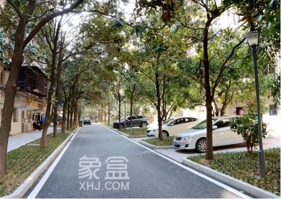 长沙杏林小区、长华小区旧改，逆龄“蜕变” “改”出幸福感！