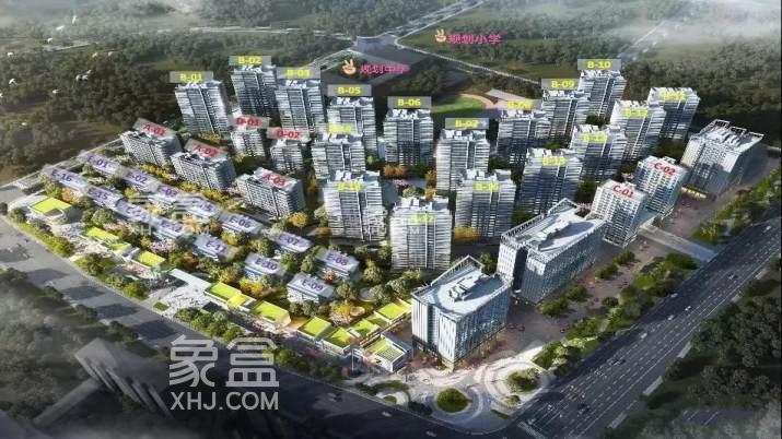 2024年湘江新區(qū)在售新房學(xué)區(qū)劃分匯總：新建博才紅楓、金星小學(xué)等5所學(xué)校！