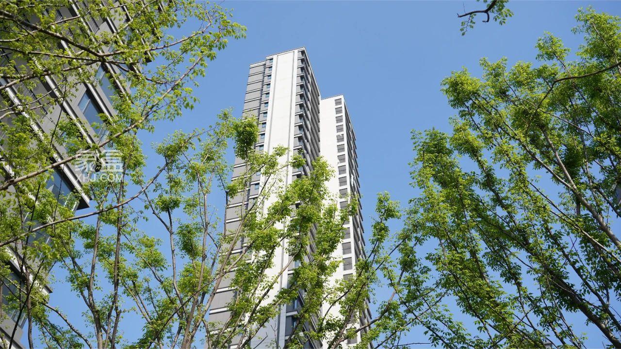 4月13日中海星樾府北地块体验日结束，砂子塘+麓山国际建面205㎡大平层热销！