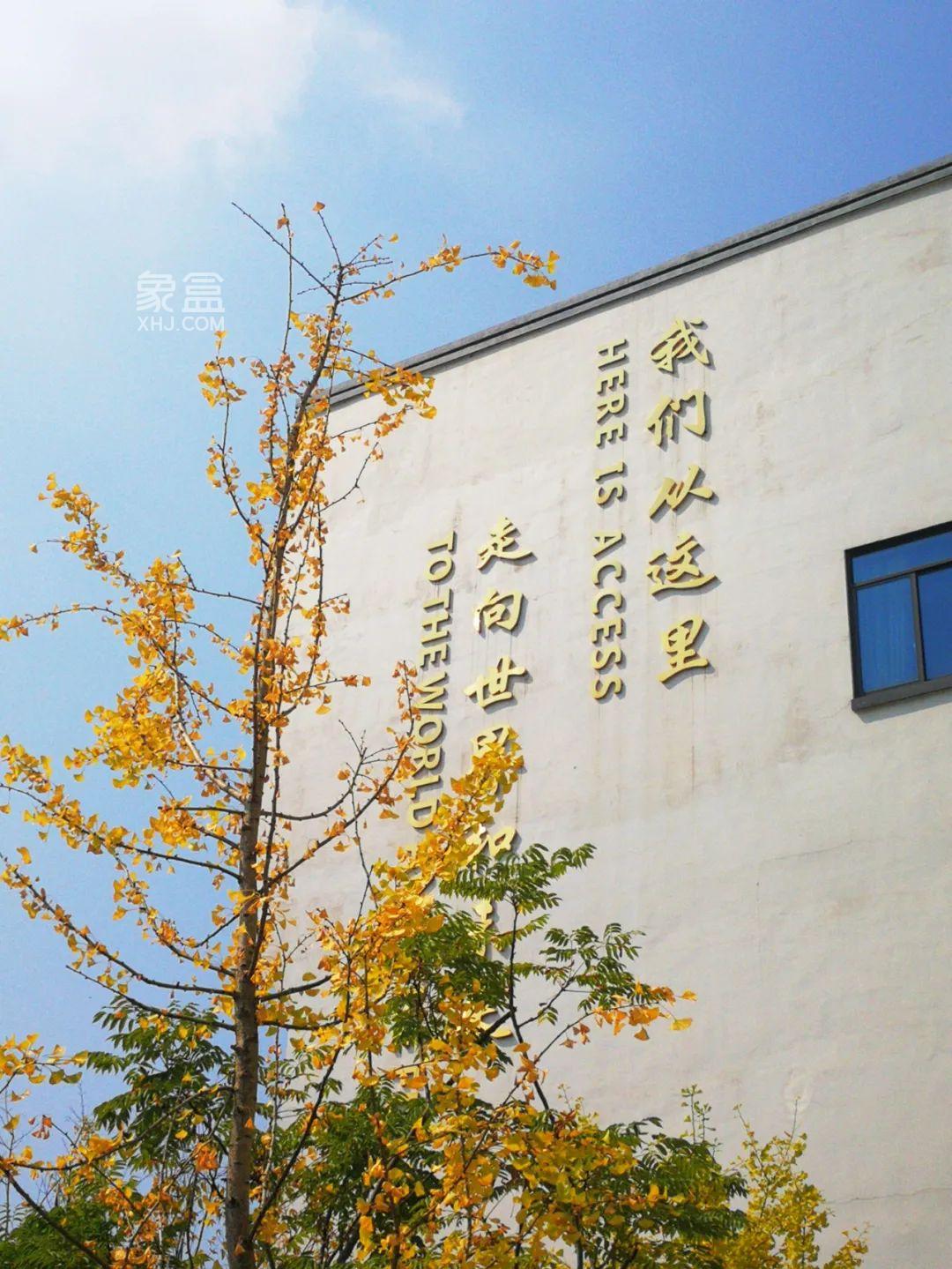 长沙长郡雨花外国语洪塘学校：始于2017年，是9年公办学校！