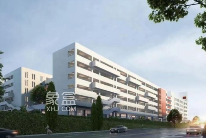观沙岭初中品牌已确定！就是“南雅”！