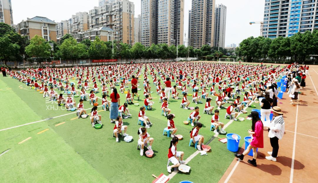 5月23日2024年全国第七届小学课程周劳动学科主题峰会在泰禹小学举行！
