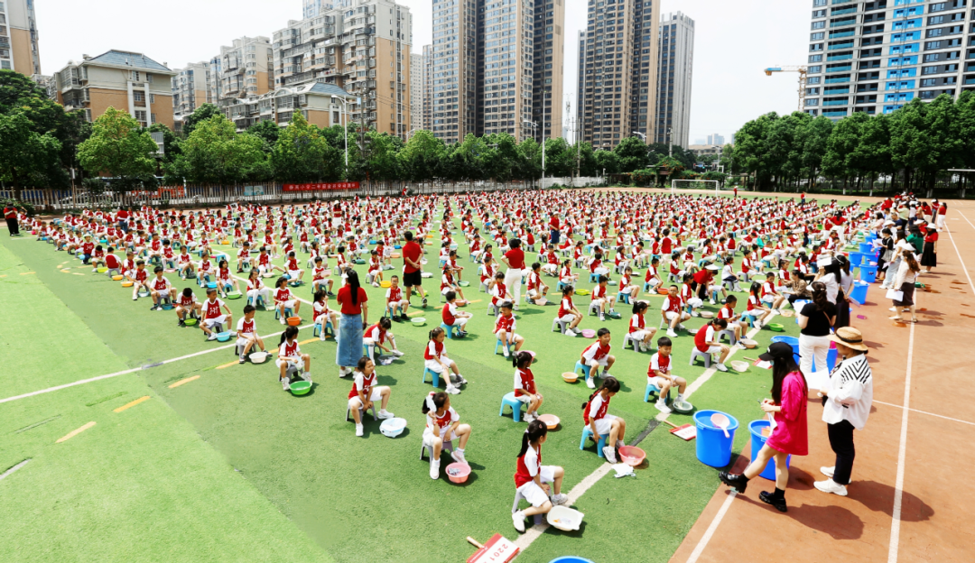 5月23日2024年全國第七屆小學課程周勞動學科主題峰會在泰禹小學舉行！