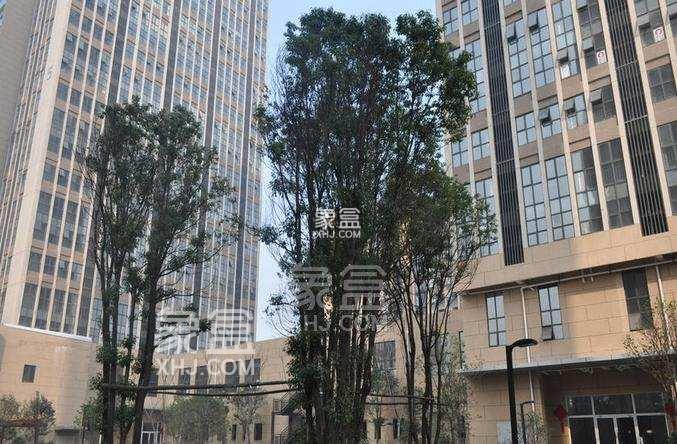 【数观楼市】2024年5月长沙二手房成交TOP5：北辰三角洲、阳光城尚东湾、怡海星城、湘江世纪城、万科魅力之城！