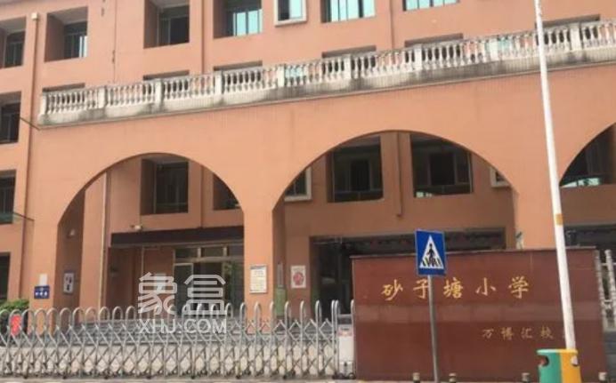 砂子塘、枫树山、麓山国际，2024年长沙重点小学微机派位指标公布！