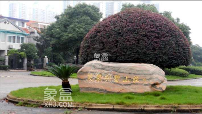 【毕业安心好租集】银盆岭精致多样户型，滨江配套，便捷舒适