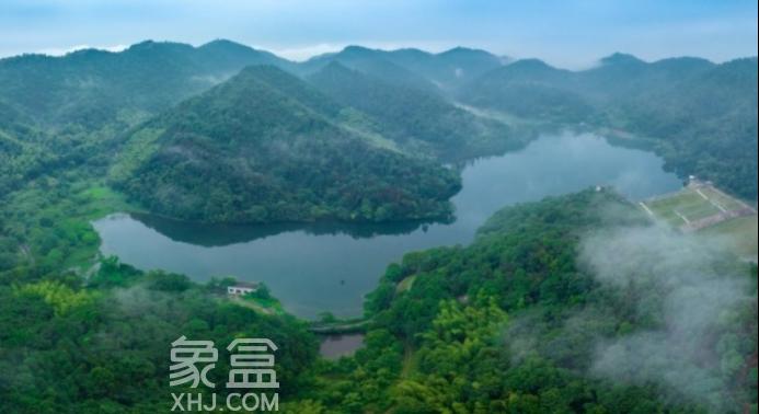 总投资6亿！象鼻窝森林公园年底开建，预计2026年完工！